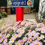 Mit Schoener Aussicht Auf Den Grossen Feldberg & Burg Koenigstein & Frei Parkplatz Auf Strassenseite Lejlighed Kelkheim