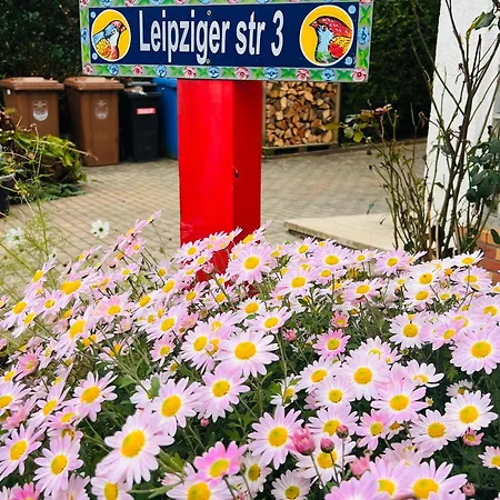 Mit Schoener Aussicht Auf Den Grossen Feldberg & Burg Koenigstein & Frei Parkplatz Auf Strassenseite Apartamento Kelkheim